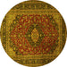 Round Machine Washable Persian Yellow Traditional Rug, wshtr1926yw