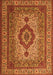 Medallion Orange Traditional Rug, tr1929org