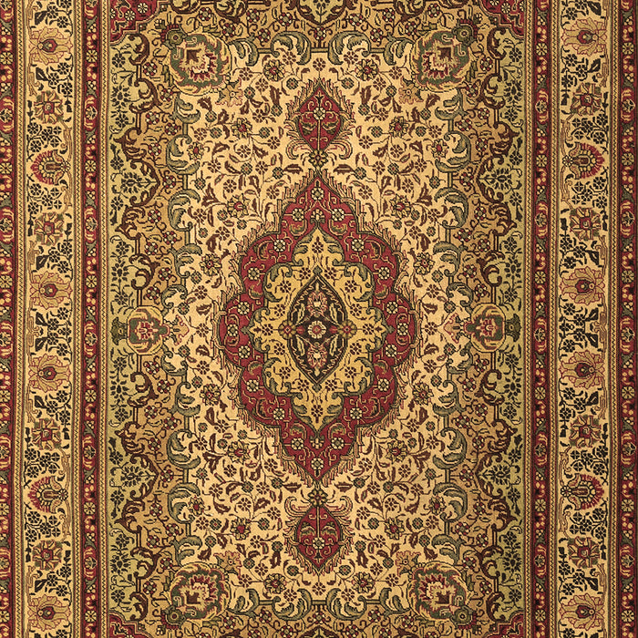 Medallion Brown Traditional Rug, tr1929brn