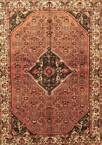 Persian Brown Traditional Rug, tr192brn