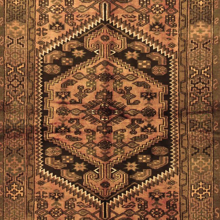 Machine Washable Persian Brown Traditional Rug, wshtr1931brn