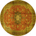 Round Medallion Yellow Traditional Rug, tr1934yw