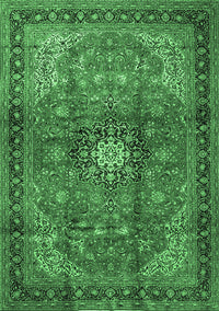 Medallion Emerald Green Traditional Rug, tr1934emgrn