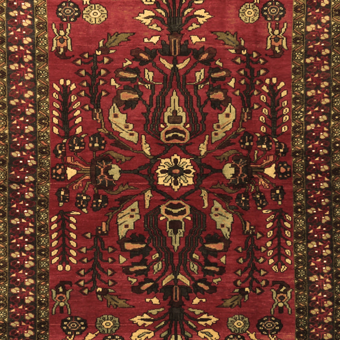 Machine Washable Persian Brown Traditional Rug, wshtr1935brn