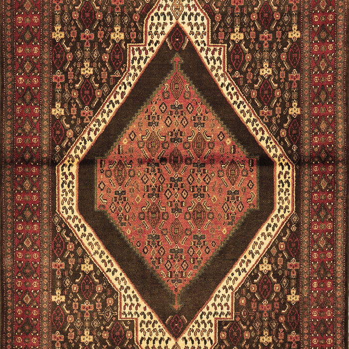 Machine Washable Persian Brown Traditional Rug, wshtr1941brn