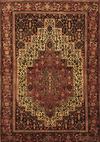 Persian Brown Traditional Rug, tr1942brn