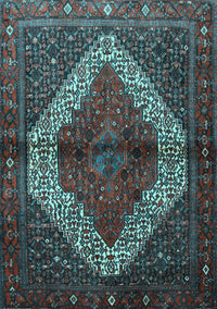 Persian Light Blue Traditional Rug, tr1943lblu