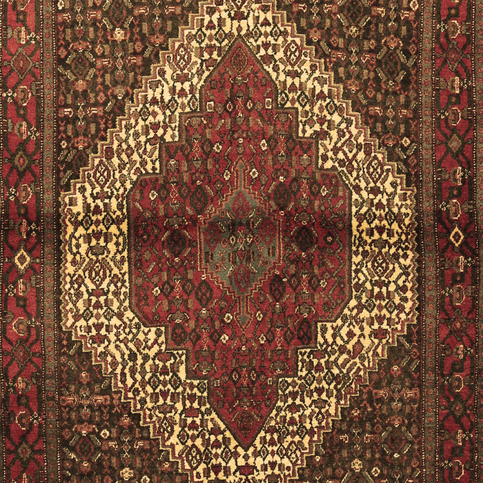 Machine Washable Persian Brown Traditional Rug, wshtr1943brn