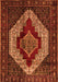 Persian Orange Traditional Rug, tr1944org