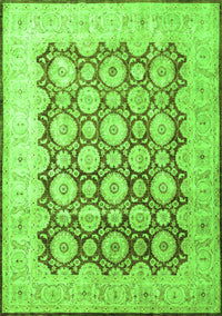 Persian Green Traditional Rug, tr1947grn