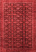 Persian Red Traditional Area Rugs