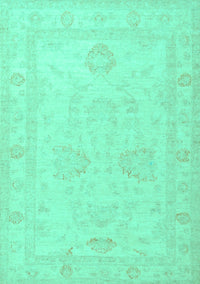 Persian Turquoise Traditional Rug, tr1952turq