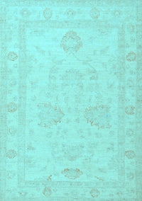 Persian Light Blue Traditional Rug, tr1952lblu