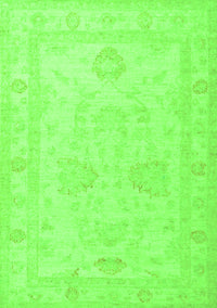 Persian Green Traditional Rug, tr1952grn