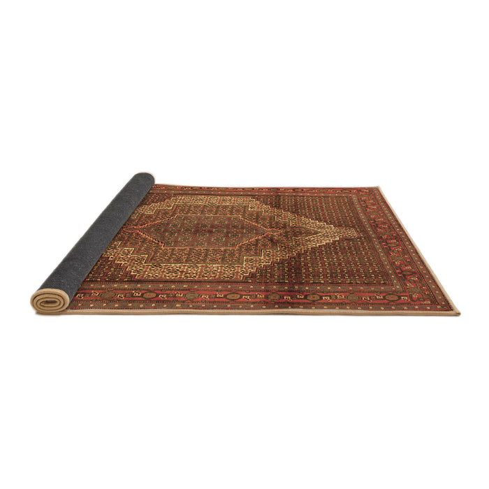 Sideview of Medallion Brown Traditional Rug, tr1954brn