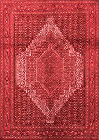 Medallion Red Traditional Rug, tr1954red