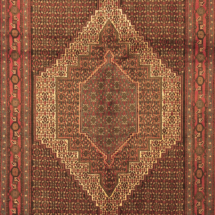 Machine Washable Medallion Brown Traditional Rug, wshtr1954brn