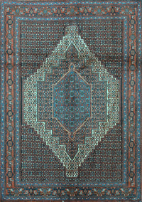 Medallion Light Blue Traditional Rug, tr1954lblu