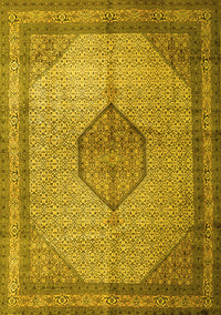 Medallion Yellow Traditional Rug, tr1956yw