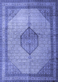 Medallion Blue Traditional Rug, tr1956blu