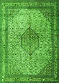 Medallion Green Traditional Rug, tr1956grn