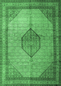 Medallion Emerald Green Traditional Rug, tr1956emgrn