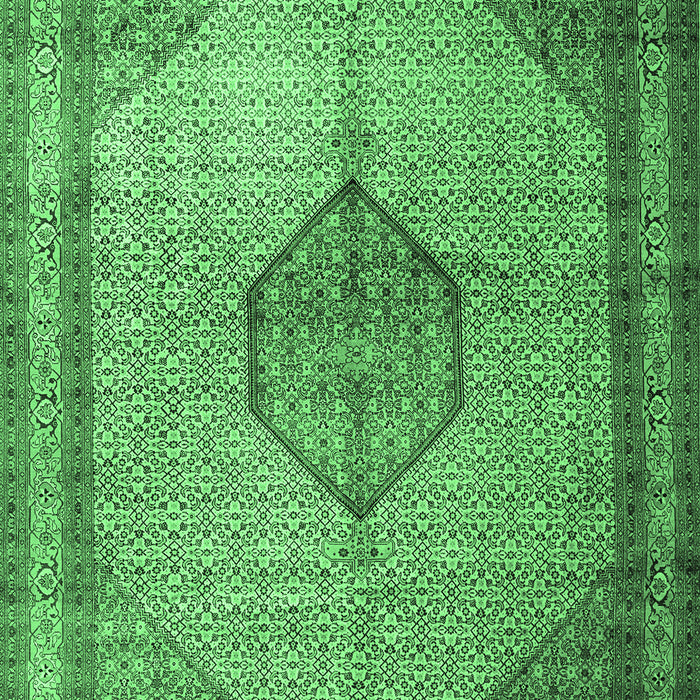 Medallion Emerald Green Traditional Rug, tr1956emgrn