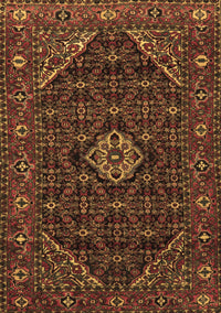 Persian Brown Traditional Rug, tr1958brn