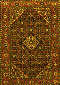 Persian Yellow Traditional Rug, tr1958yw