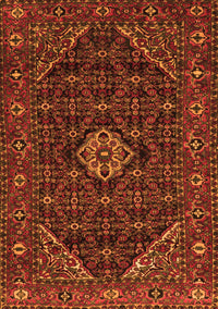 Persian Orange Traditional Rug, tr1958org