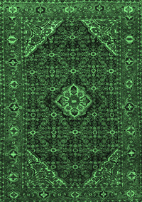 Persian Emerald Green Traditional Rug, tr1958emgrn