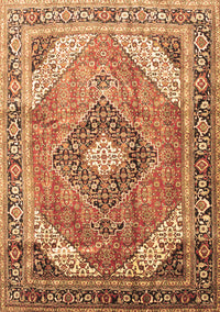 Persian Brown Traditional Rug, tr195brn