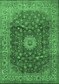 Medallion Emerald Green Traditional Rug, tr1960emgrn