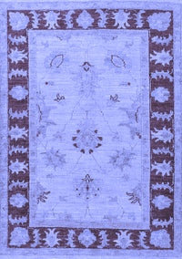 Oriental Blue Traditional Rug, tr1963blu