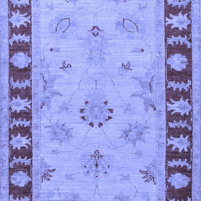Oriental Blue Traditional Rug, tr1963blu