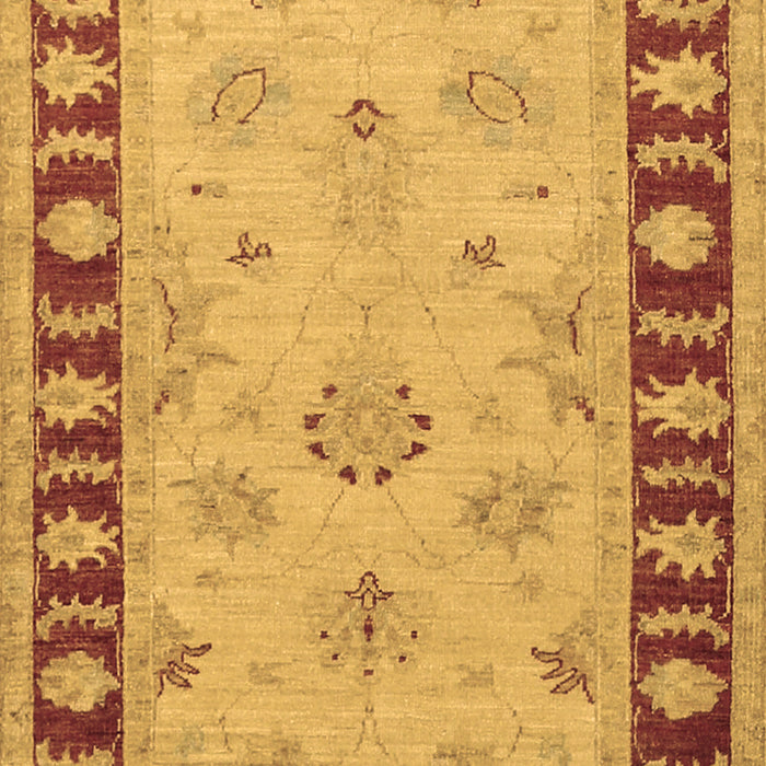 Oriental Brown Traditional Rug, tr1963brn