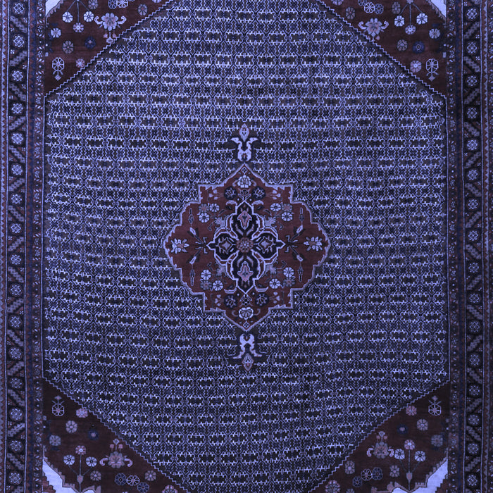Persian Blue Traditional Rug, tr1964blu