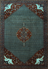 Persian Light Blue Traditional Rug, tr1964lblu