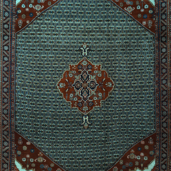 Persian Light Blue Traditional Rug, tr1964lblu