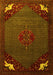 Persian Yellow Traditional Rug, tr1964yw