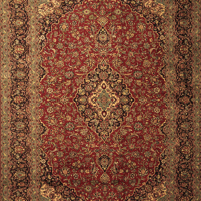 Medallion Brown Traditional Rug, tr1970brn