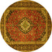 Round Persian Yellow Traditional Rug, tr1971yw