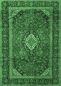 Persian Emerald Green Traditional Rug, tr1971emgrn