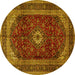 Round Machine Washable Persian Yellow Traditional Rug, wshtr1972yw