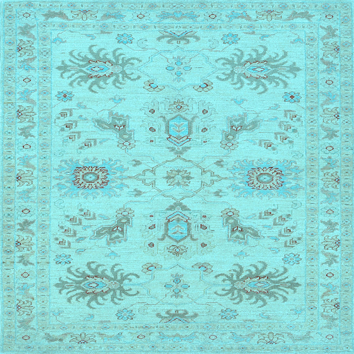 Square Persian Light Blue Traditional Rug, tr1975lblu