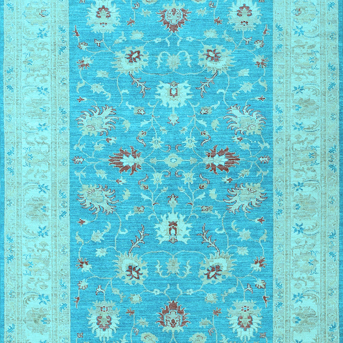 Oriental Light Blue Traditional Rug, tr1976lblu