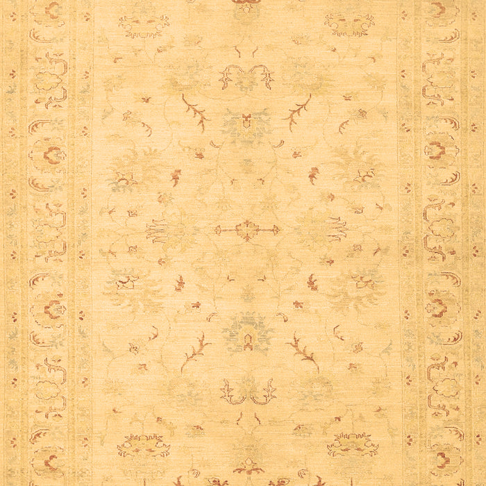 Machine Washable Persian Brown Traditional Rug, wshtr1977brn