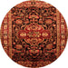 Square Persian Orange Traditional Rug, tr197org