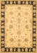 Machine Washable Persian Brown Traditional Rug, wshtr1981brn