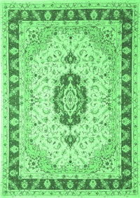 Persian Emerald Green Traditional Rug, tr1983emgrn